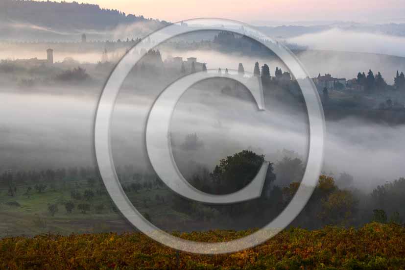 2006 - Landscapes with fog of yellow vineyards in autumn in early morning, a bit before sunrise,  near Barberino Val Elsa, Chianti valley, 15 miles south the province of Florence.