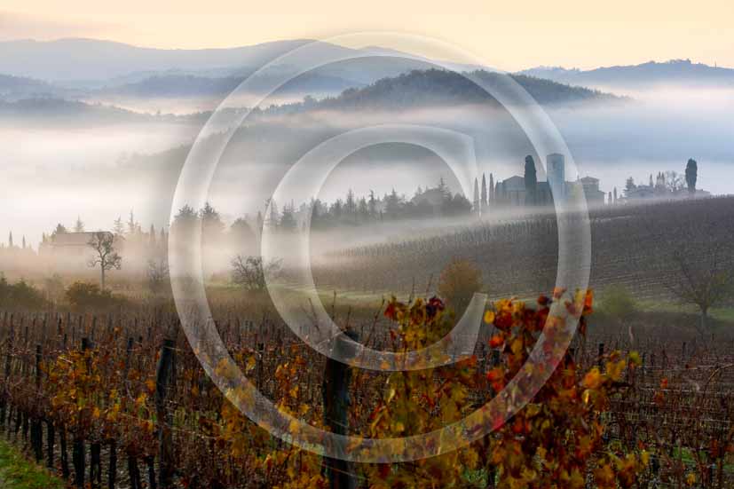 2006 - Landscapes with fog in early morning on autumn, Castle of Spaltenna in background, Chianti land, near Gaiole in Chianti village, 12 miles est the province of Siena.