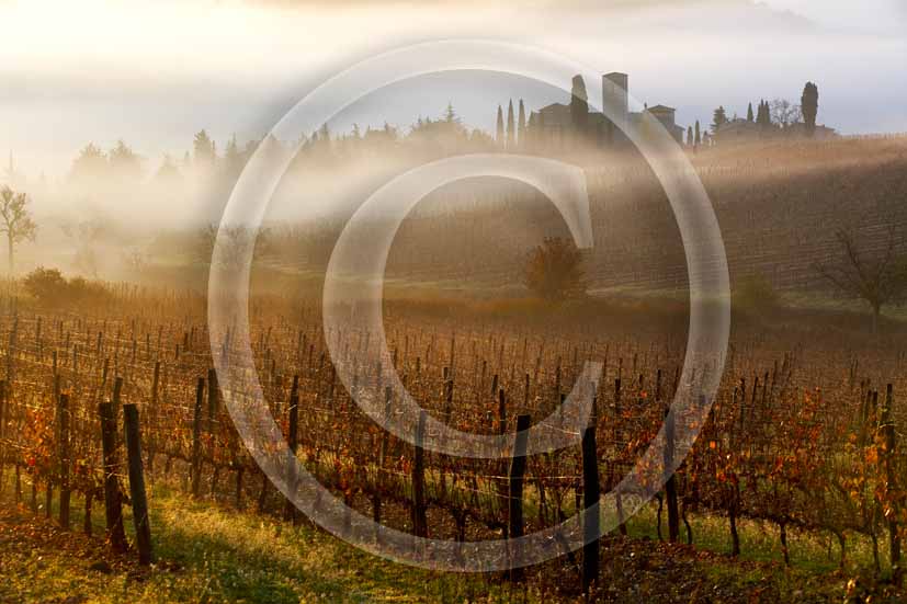 2006 - Landscapes with fog in early morning on autumn, Castle of Spaltenna in background, Chianti land, near Gaiole in Chianti village, 12 miles est the province of Siena.