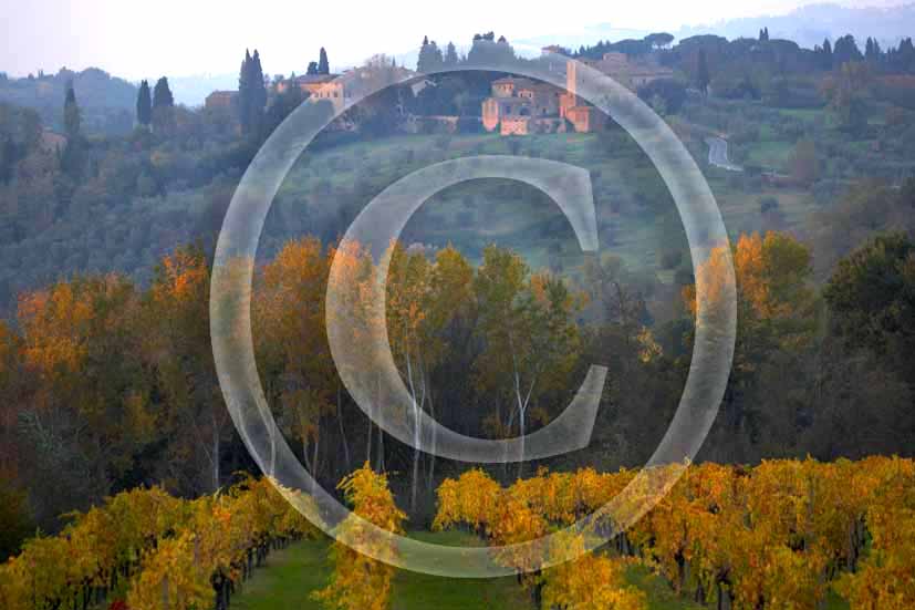  2006 - Landscapes of yellow vineyards in autumn in later afternoon with Petrognano di Semifonte medieval village in background, near Barberino Val Elsa, Chianti valley, 15 miles south the province of Florence.