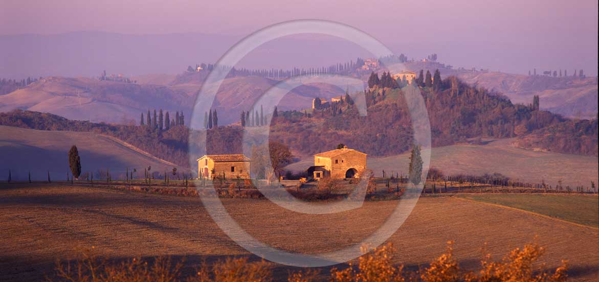 
<P>2004 - Panoramic view of farm and cipress line with fog on sunrise in winter, Montemori place, Arbia valley, near Asciano village, 17 miles south the province of Siena.</P>