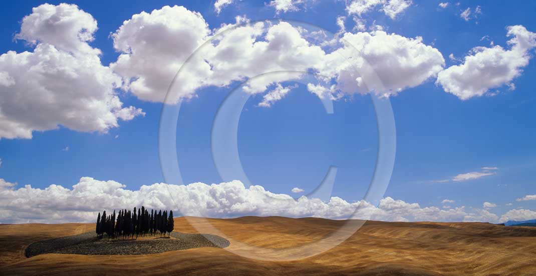  2001 - Panoramic view of field of bead with cipress and white clouds in summer, near S.Quirico village, Orcia valley, 14 miles south the province of Siena.