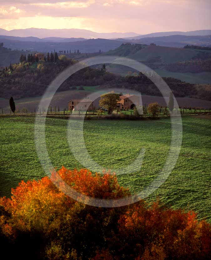 2003 - Landscapes of farm and cipress line on warly morning in autumn, Montemori place, Arbia valley, near Asciano village, 17 miles south the province of Siena.