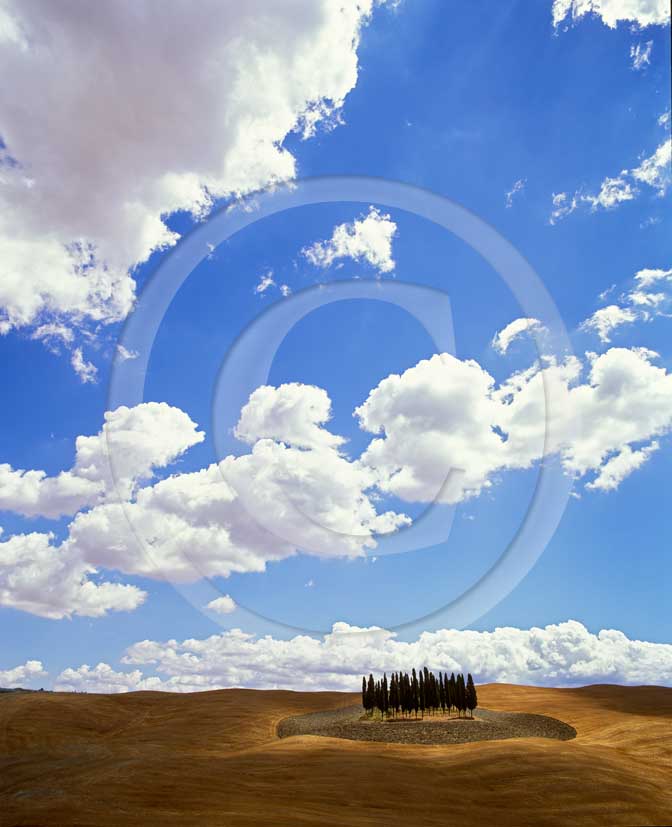 2001 - Landscapes of field of bead with cipress and white clouds in summer, near S.Quirico village, Orcia valley, 14 miles south the province of Siena.