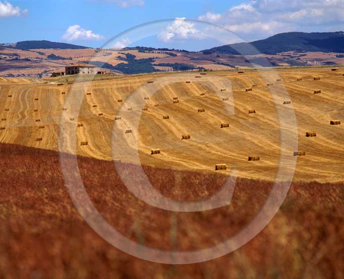  2003 - Landscapes of farm in field of rolls bead in summer, near Gallina village, Orcia valley, 30 miles south the province of Siena.