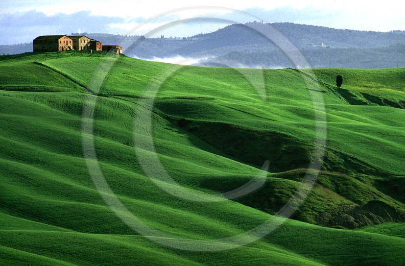 2001 - Landscapes of farm in field of bead in spring, near Mucigliani place, Crete land, 8 miles south the province of Siena.