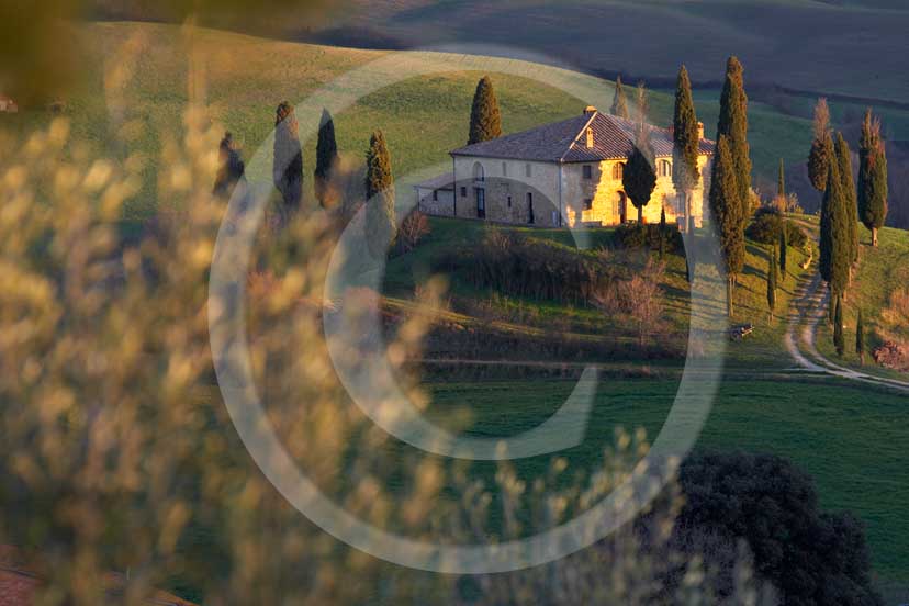 2007 - Landscapes of farm and cipress in late afternoon on spring, near S.Quirico village, Orcia valley, 15 miles south the province of Siena. 