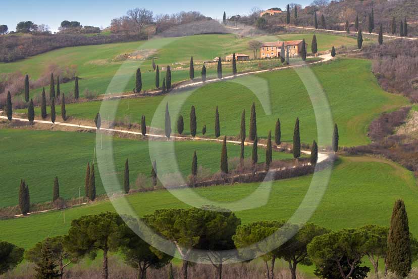 2007 - Landscapes of farm and cipress line in spring, near Foce village, Orcia valley, 31 miles south province of Siena.