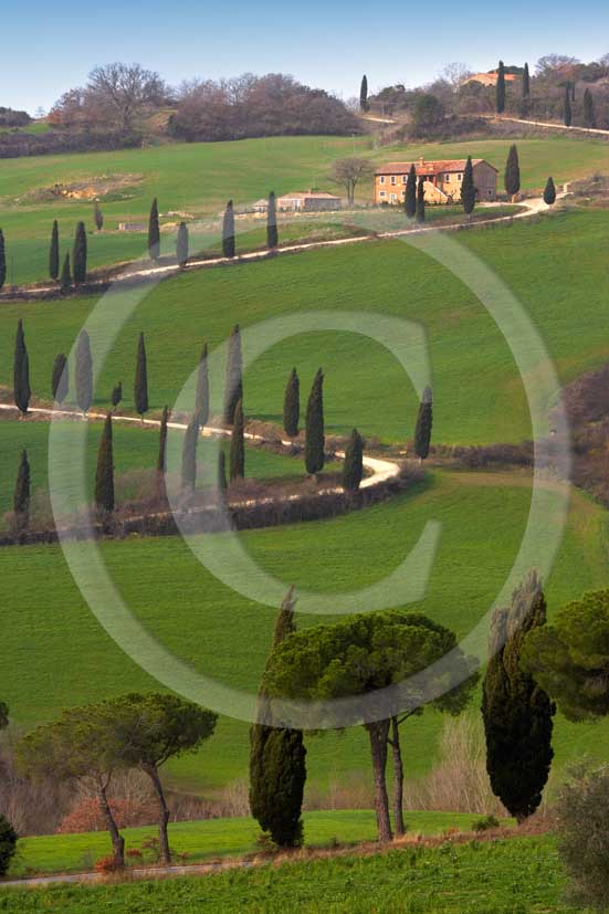 2007 - Landscapes of farm and cipress line in spring, near Foce village, Orcia valley, 31 miles south province of Siena.