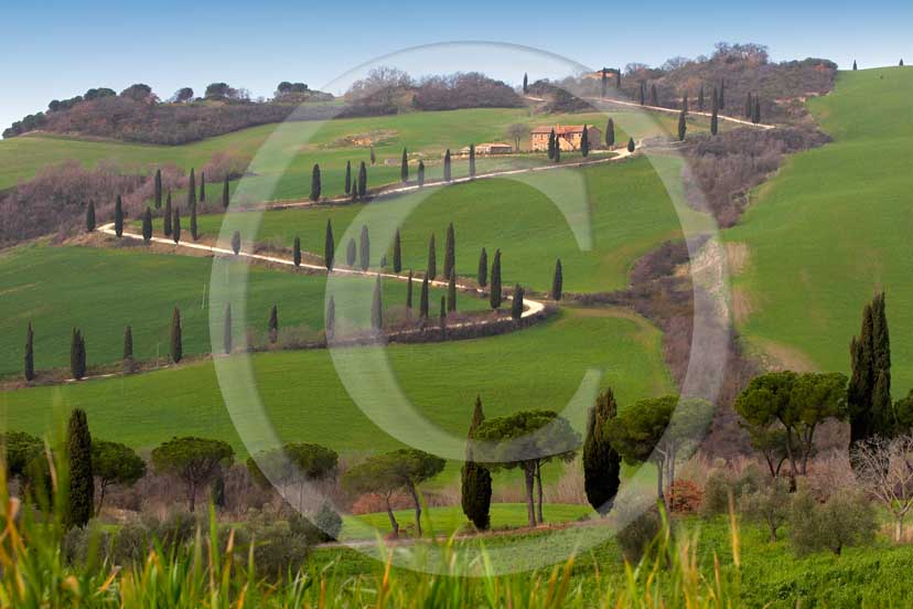 2007 - Landscapes of farm and cipress line in spring, near Foce village, Orcia valley, 31 miles south province of Siena.