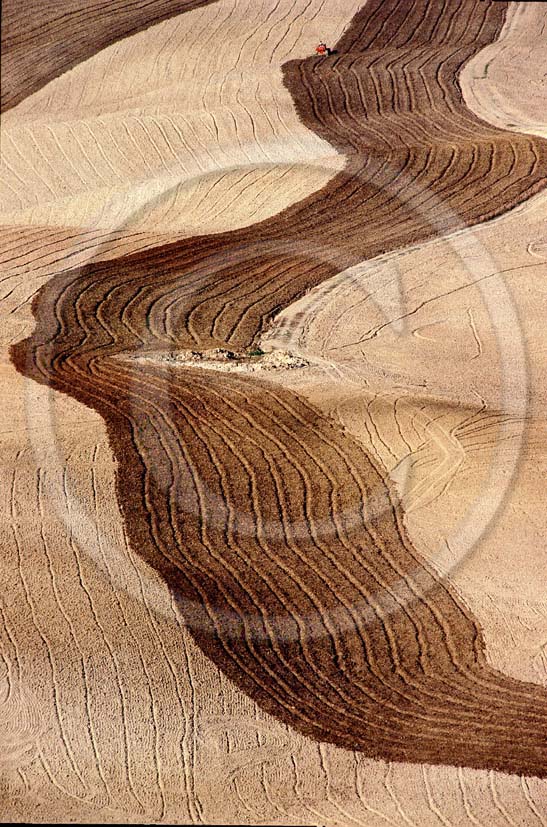 1988 - Landscapes of road land in autumn in Crete Senesi land.