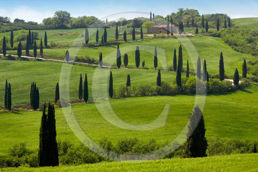 
<DIV>2007 - Landscapes with farm and cipress line in green in spring, near La Foce place, Orcia valley, 35 miles south province of Siena.</DIV>