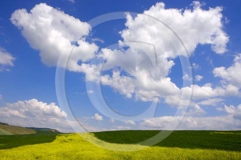 2007 - Landscapes of field of bead with yellow colsa flower and white clouds in blue sky on spring, Orcia Valley, near Pienza village, 26 miles south the province of Siena. 