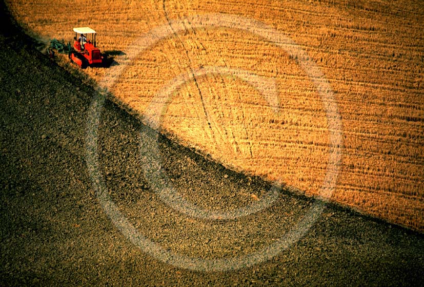 1999 - Landscapes of field of bead in summer, Orcia valley.