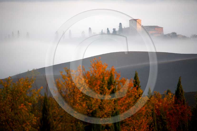 2007 - Landscapes of farm and cipress line with fog on sunrise in autumn, Poggio Prati village, near Ville di Corsano place, Crete Senesi land, 14 miles est Siena province. 