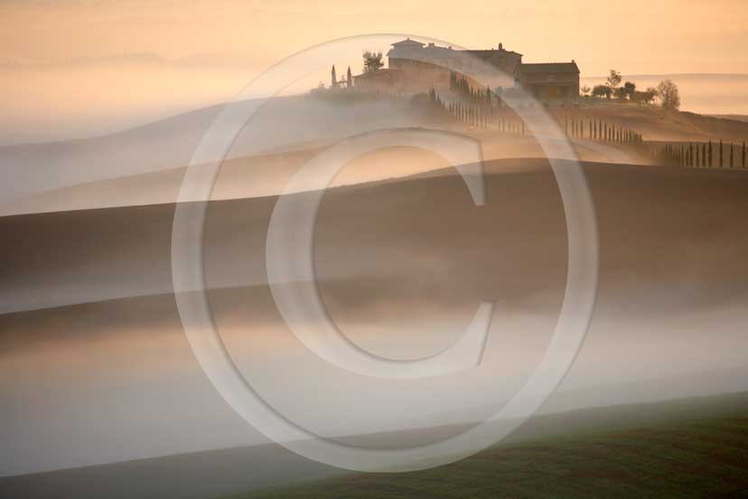 2007 - Landscapes of farm and cipress line with fog on sunrise in autumn, near Ville di Corsano place, Crete Senesi land, 14 miles est Siena province. 