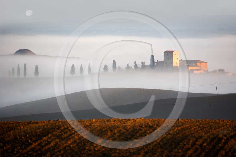 2007 - Landscapes of farm and cipress line with fog and moon on sunrise in autumn, Poggio Prati village, near Ville di Corsano place, Crete Senesi land, 14 miles est Siena province. 