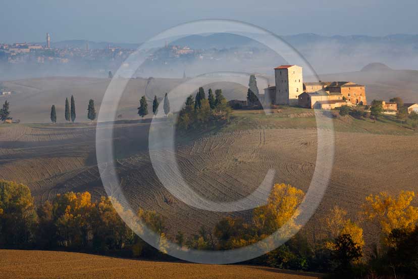 2007 - Landscapes of farm and cipress line with fog on sunrise in autumn, Poggio Prati village, near Ville di Corsano place, Crete Senesi land, 14 miles est Siena province.