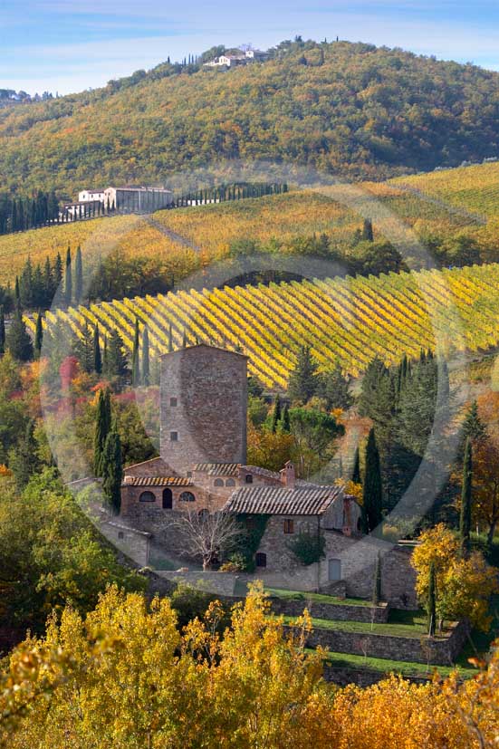 2007 - Landscapes of yellow and red vineyards with Grignano farm in autumn on early morning, near Panzano, Chianti valley, 23 miles south the province of Florence. 