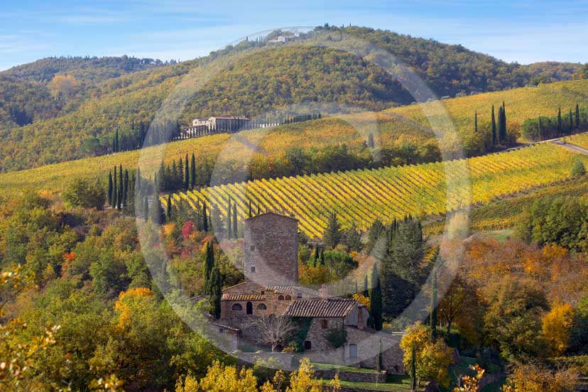 2007 - Landscapes of yellow and red vineyards with Grignano farm in autumn on early morning, near Panzano, Chianti valley, 23 miles south the province of Florence. 