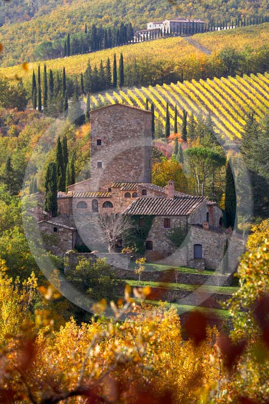 2007 - Landscapes of yellow and red vineyards with Grigliolino farm in autumn on early morning, near Panzano, Chianti valley, 23 miles south the province of Florence.