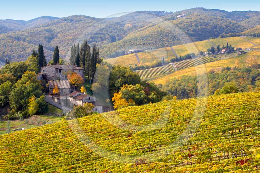 2007 - Landscapes of yellow and red vineyards with farm in autumn on early morning, near Panzano, Chianti valley, 23 miles south the province of Florence.