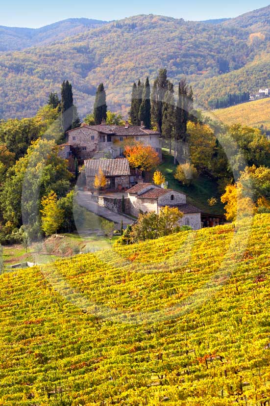 2007 - Landscapes of yellow and red vineyards with farm in autumn on early morning, near Panzano, Chianti valley, 23 miles south the province of Florence.