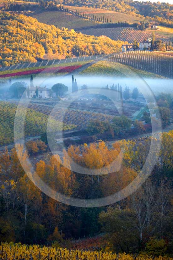 2007 - Landscapes of yellow and red vineyards and farm with fog on early morning in autumn, near Radda in Chianti, Chianti land, 18 miles north est the province of Siena.