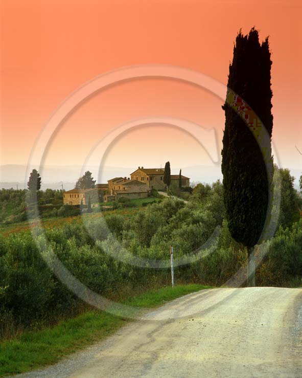 2001 - Landscapes of farm with cipress on sunset in autumn, near Castellina village, Chanti land, 17 miles north the province of Siena.