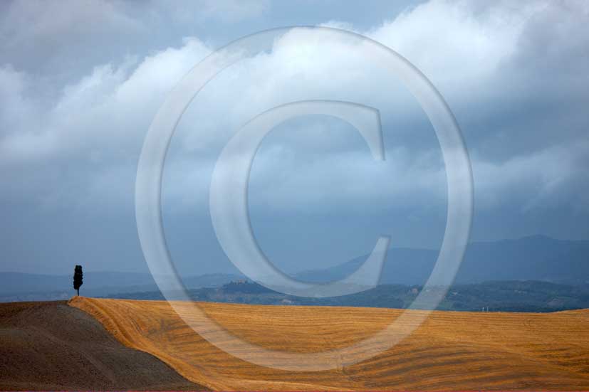 2008 - Landscapes of yellow and brown field of bead before a thunderstorm on summer in Crete senesi land, near Taverne Arbia village, 10 miles south the province of Siena.