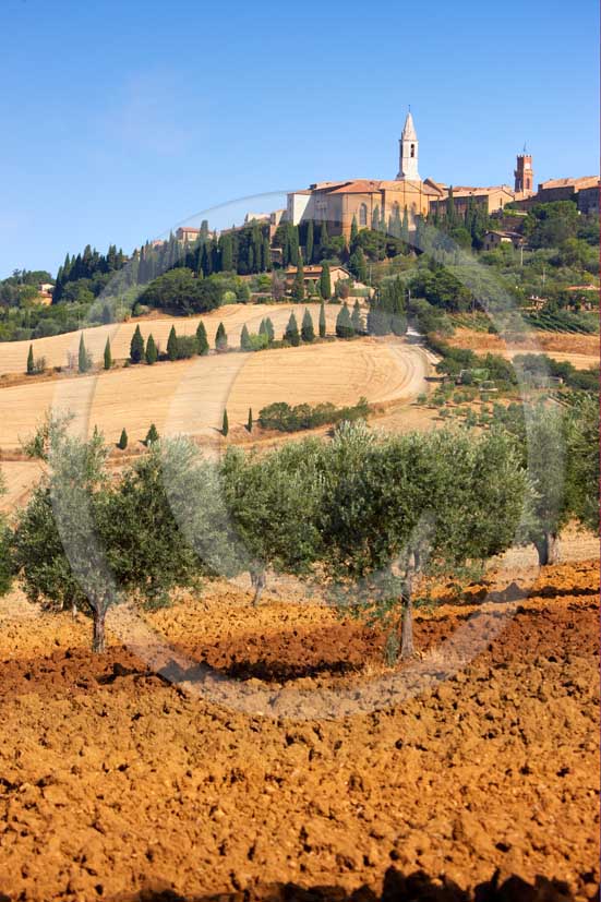2008 - View of Pienza medieval village on early morning in summer, with brown field of bead and olives, Orcia valley, 20 miles south the province of Siena.