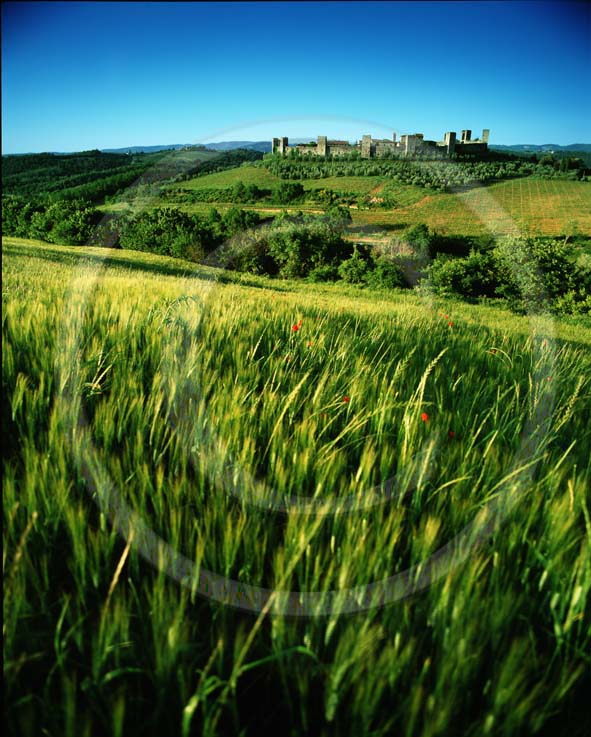 2001 - Landscapes of field of bead in spring with Monteriggioni medieval village, Chianti land, 30 miles south province of Florence.