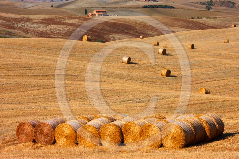 2008 - Landscapes and farm on yellow field and rolls of bead on early morning in summer, near Pienza medieval village, Orcia valley, 25 miles south the province of Siena.