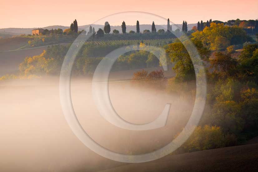 2007 - Landscapes and farm with cipress line on eary morning at sunrise with fog in autumn, near Ville di Corsano village, 12 miles east the province of Siena.