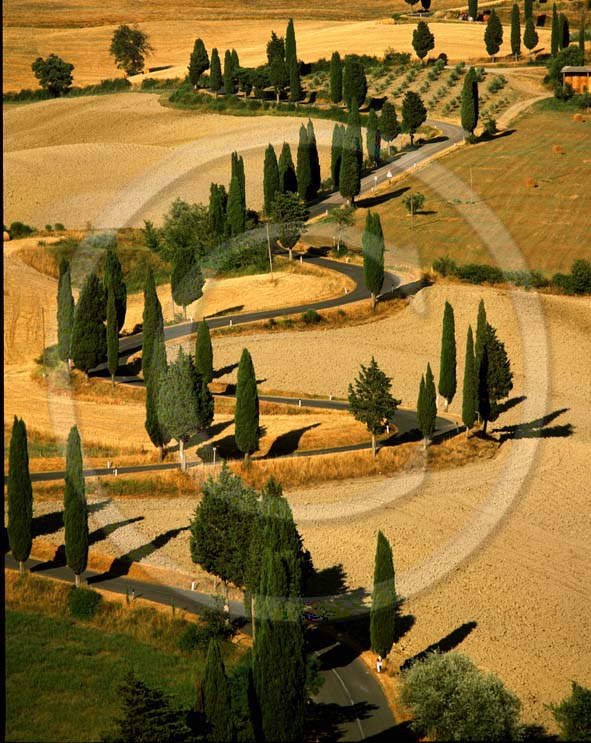 2001 - Landscapes of famr and cipress line in autumn, near Monticchello village, Orcia valley, 24 miles south province of Siena.