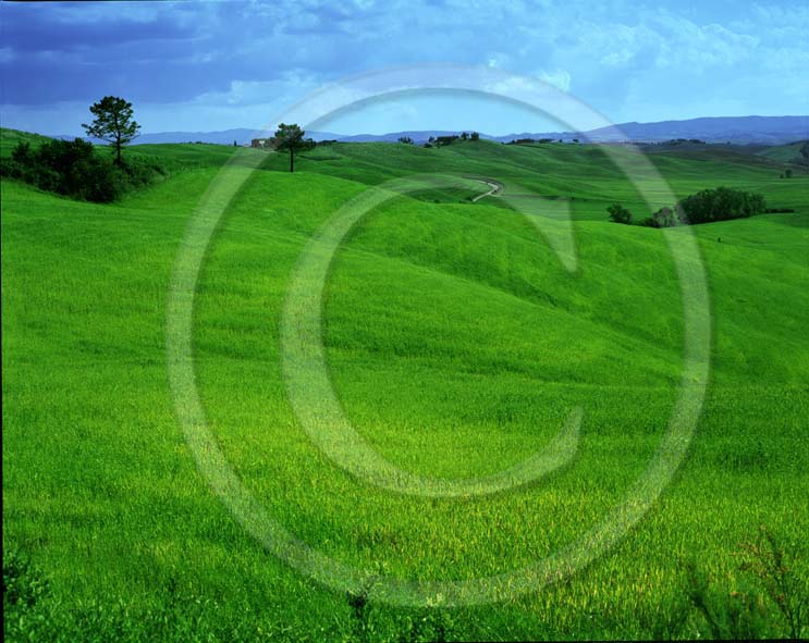 1999 - Landscapes of field of bead in spring in Crete Senesi land.