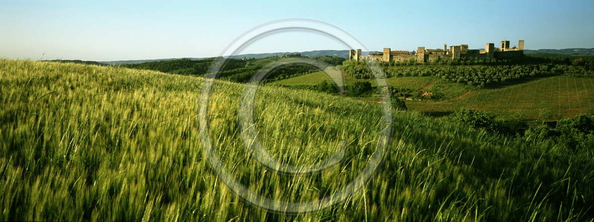 2001 - Panoramc view of field of bead with Monteriggioni medieval village in spring, Chianti land, 12 miles north province of Siena.