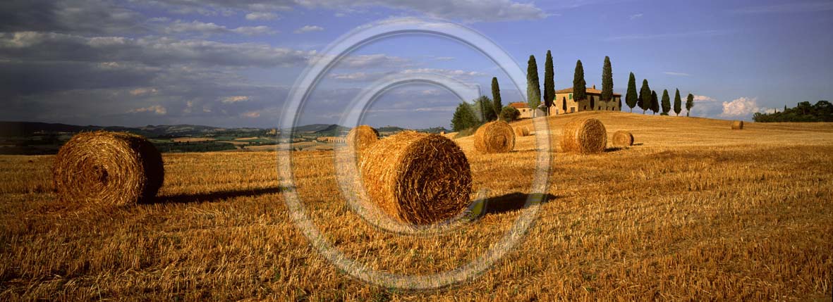 2001 - Panoramic view of farm, cipress and rolls of bead in summer, near Pienza village, Orcia valley, 21 miles south province of Siena.