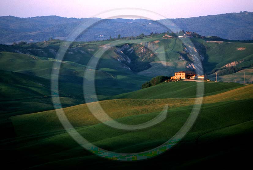 1996 - Landscapes of farm and field of bead in spring, near Mucigliani place, Crete Senesi land, 11 miles south province of Siena.