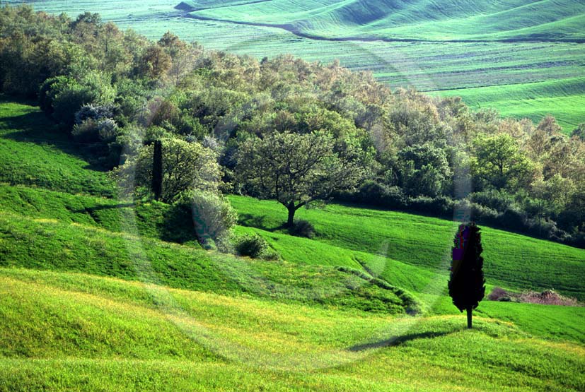 1997 - Landscapes of field of bead in spring, near Mucigliani place, Crete Senesi land, 13 miles south province of Siena.