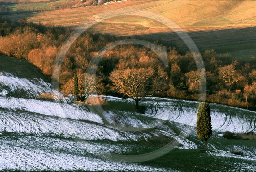 2000 - Landscapes of field of bead in winter, near Mucigliani place, Crete Senesi land, 13 miles south province of Siena.