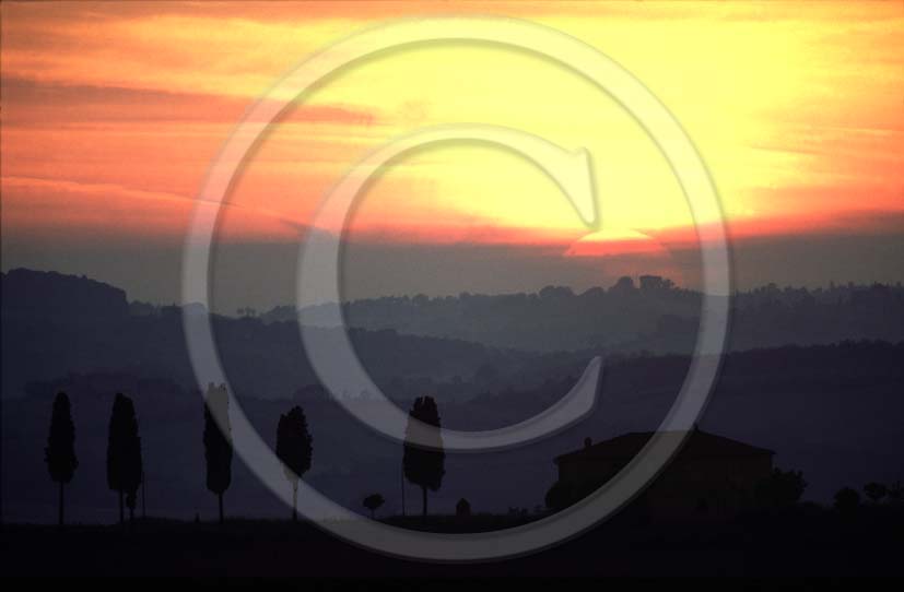 2000 - Landscapes of farm and cipress on sunset in autumn, near Mucigliani place, Crete Senesi land, 10 miles south province of Siena.