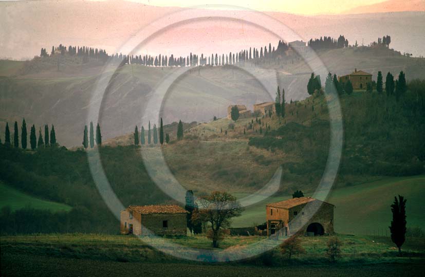 1988 - Landscapes of farm and cipress line on sunrise in winter, Montemori place, near Asciano village, Crete Senesi land, 18 miles south province of Siena.