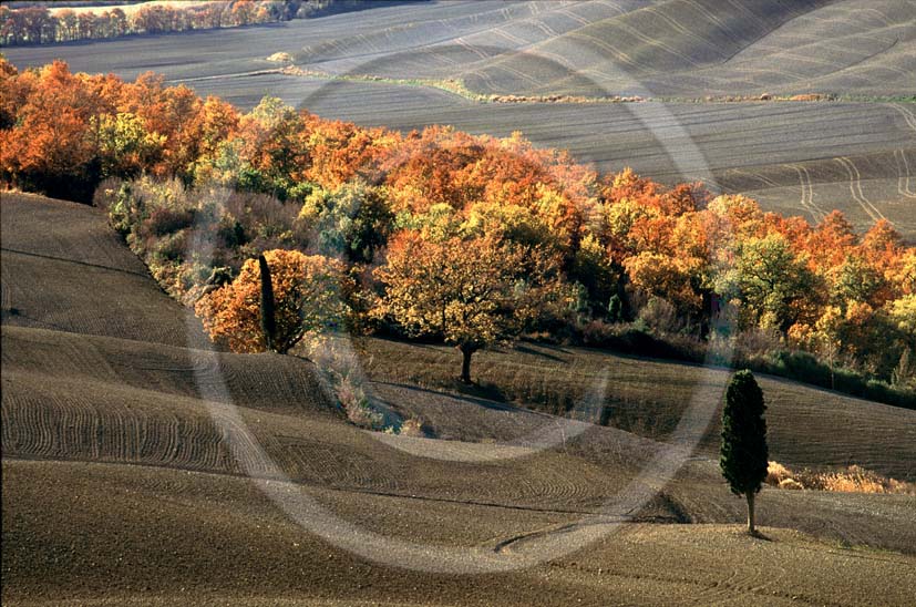 1997 - Landscapes of field of bead in autumn, near Mucigliani place, Crete Senesi land, 13 miles south province of Siena.