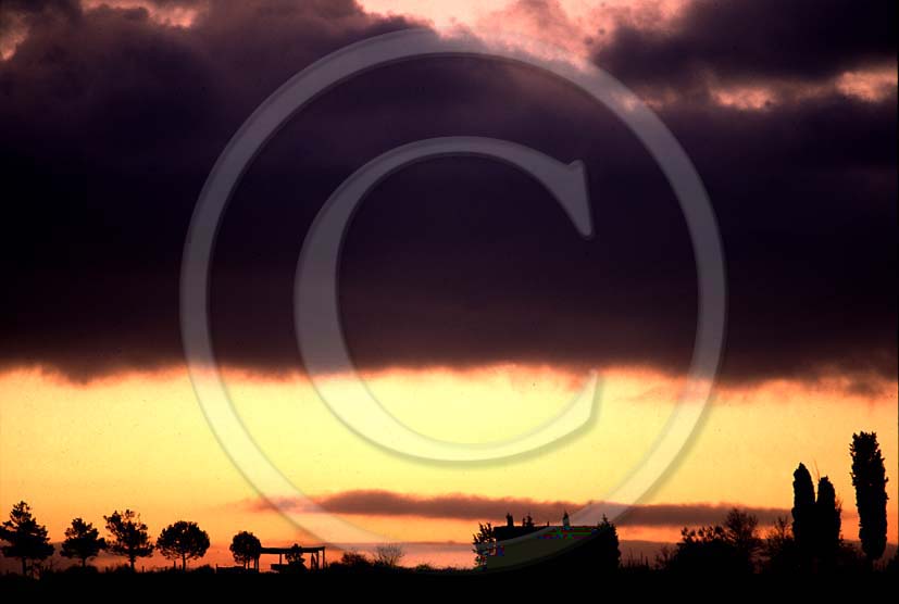 1989 - Landscapes of farm and cipress on sunrise in summer, near La Ripa place, Chianti land, 5 miles north the province of Siena.