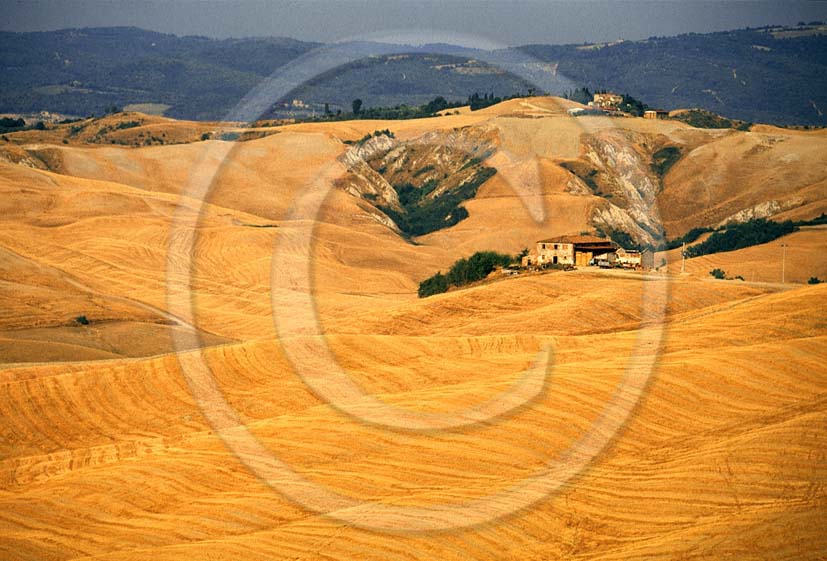 1996 - Landscapes of farm and field of bead in summer, Mucigliani place, near Asciano village, Crete Senesi land, 8 miles south the province of Siena.