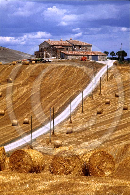 1986 - Landscapes of farm and rolls of bead in summer, near Gallina place, Orcia valley, 15 miles north the province of Viterbo.