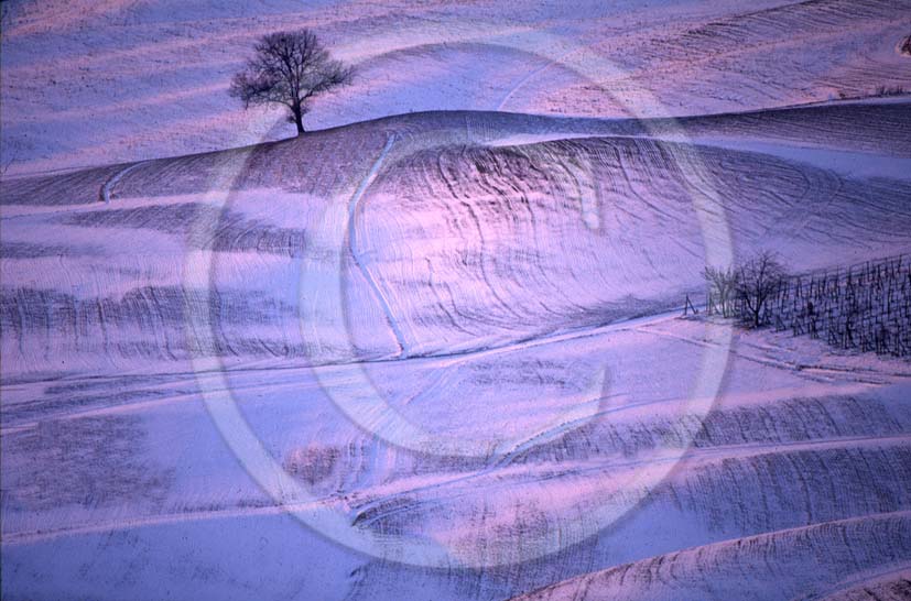 1999 - Landscapes of Crete Senesi land with snow in winter, 13 miles south the province of Siena.