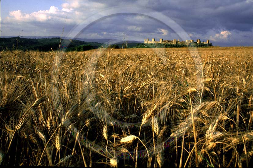 1993 - Landscapes of field of bead with Monteriggioni medieval village in summer, Chianti land, 27 miles north the province of Siena.