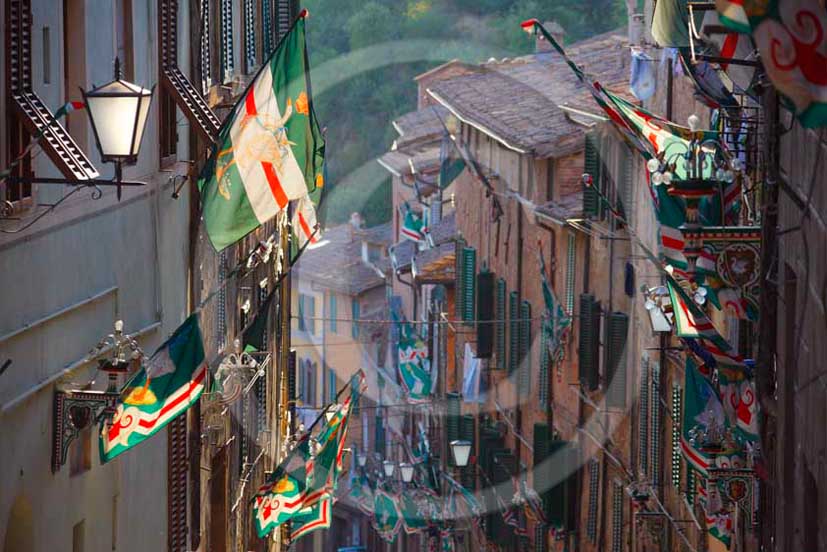 2011 - Streets with traditonal Siena's Contrada flag.